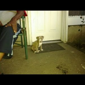 Meet your Posher, Andy